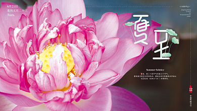 传统廿四节气夏至摄影清新雅洁荷花创意展板