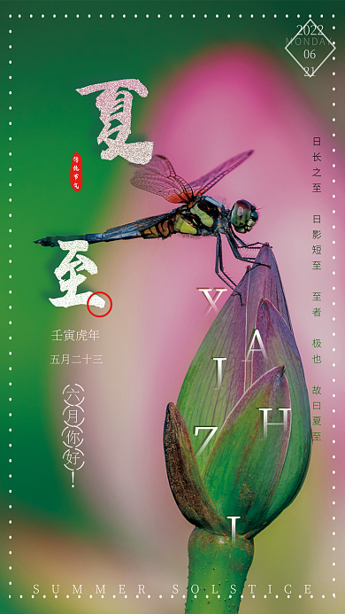 传统二十四节气202206摄影荷苞蜻蜓创意海报