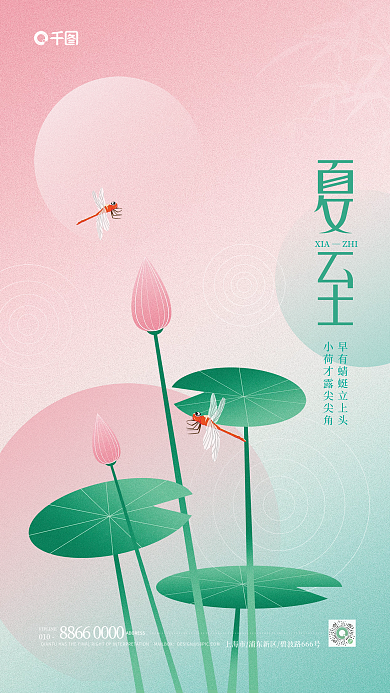 简约夏至XIAZHI节气海报