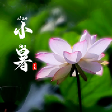 绿色简约小暑节气小暑公众号次图