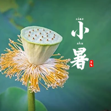 绿色创意节气xiao公众号次图