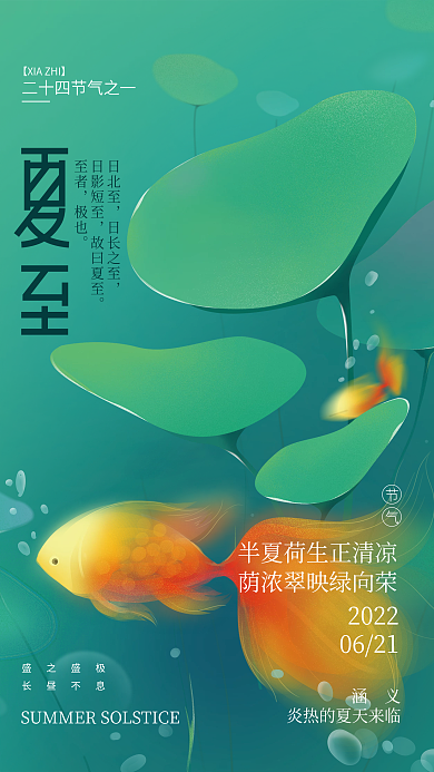 文艺夏至日北至日长之至节气日海报