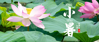 绿色创意小暑节气小暑公众号图