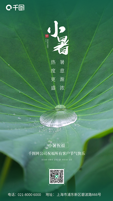 小暑节气荷叶水滴简约社大气摄影图海报