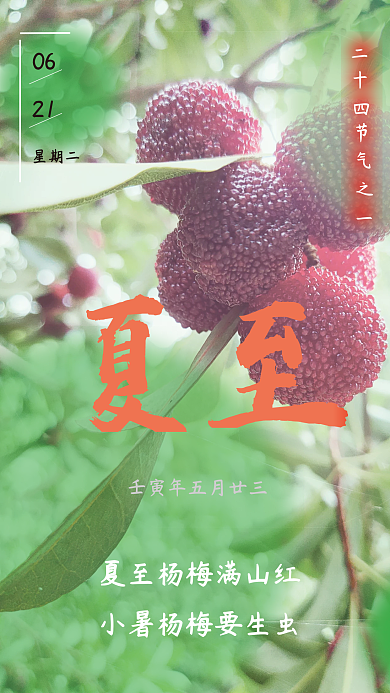 摄影图背景夏至海报