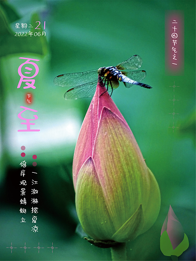 摄影图背景21星期二夏至海报