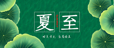荷叶小清新夏至节气新媒体公众号封面