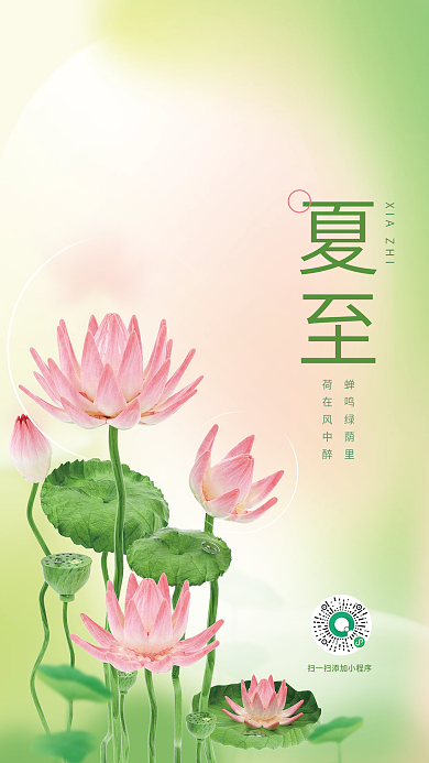 小清新弥蝉鸣绿荫里荷在风中醉夏至夏季荷花3d海报