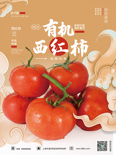 中国风西红柿番茄销售海报