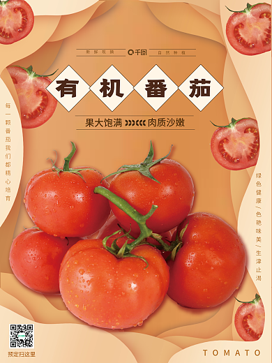 纸立有机番茄新鲜现摘蔬菜番茄海报1