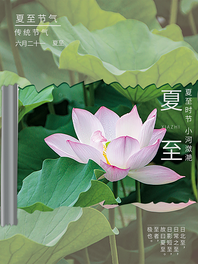 夏至荷花日北至日常之至简约海报