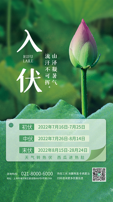 夏季三伏天初伏中伏末伏日期宣传海报