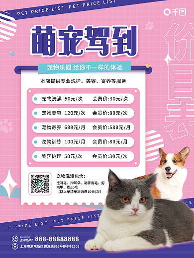 萌宠驾到价目表咨询热线价目表宣传海报