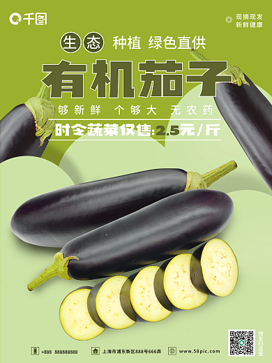 有机蔬菜现摘现发新鲜健康销售海报