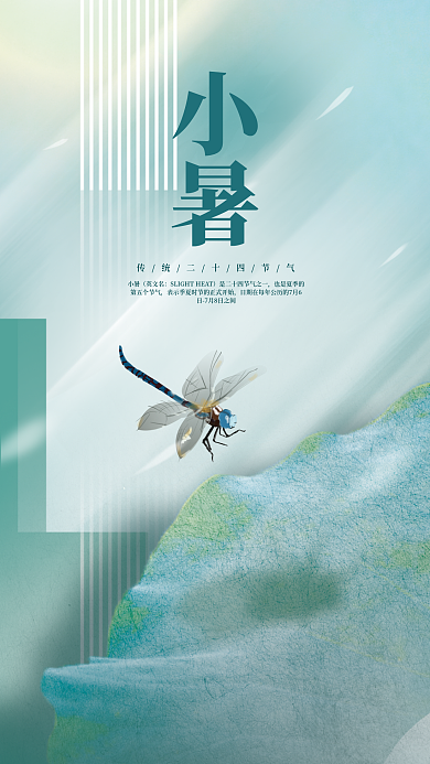 简约留小暑英文名节气海报