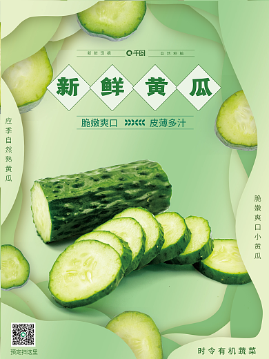 小清新纸新鲜黄瓜预定扫这里蔬菜水嫩黄瓜销售海报