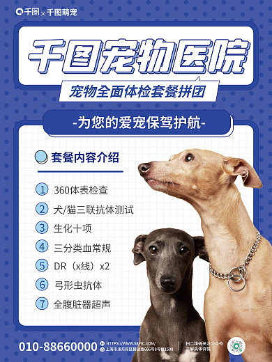 宠物体检萌宠生化十项海报