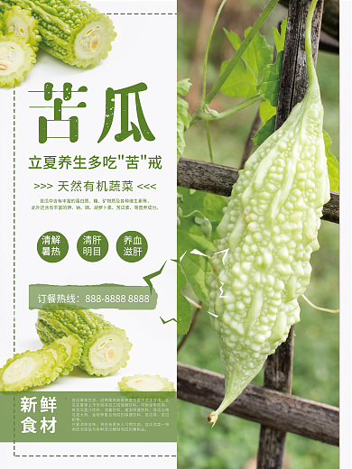 624新鲜食材蔬菜苦瓜销售海报