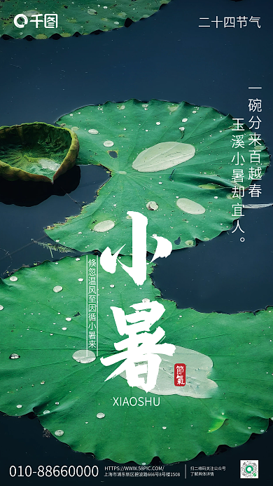 简约小清新二十四节气節氣荷叶宣传海报