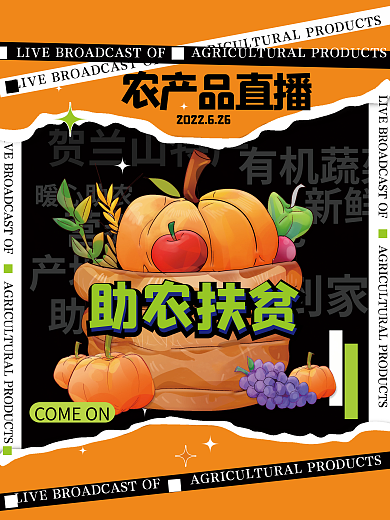农产品直播贺兰山特产有机蔬菜宣传海报