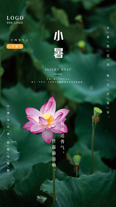 二十四节气小暑小暑六月初九海报
