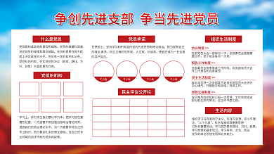 简约大气什么是党员纲领展板