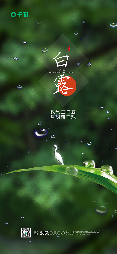 白露简约LINE8866海报