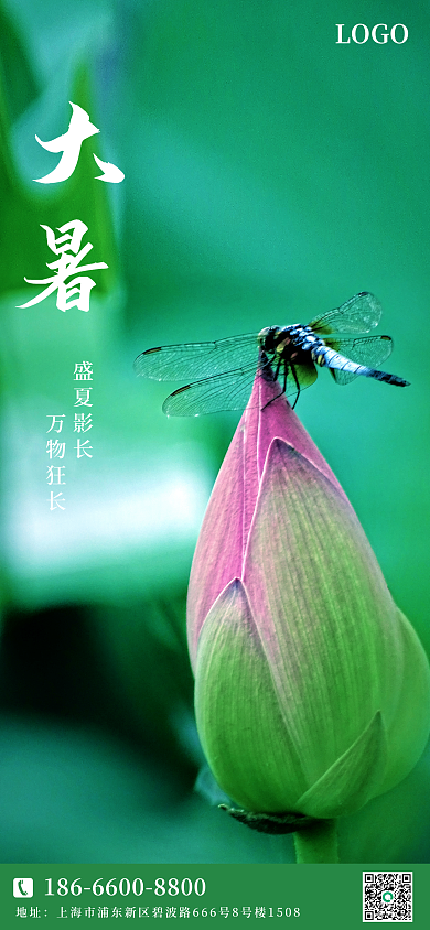 二十四节气大暑盛夏影长万物狂长海报pro