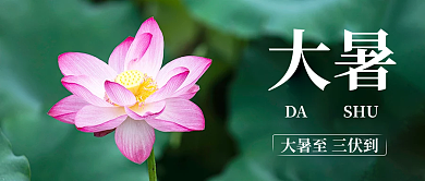 大暑祝福大暑DASHU公众号封面