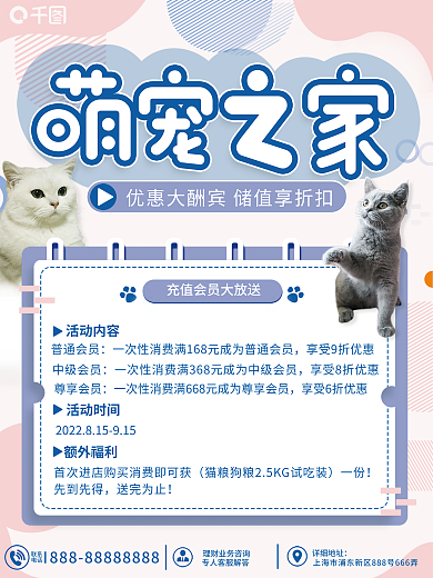宠物门店联系电话海报