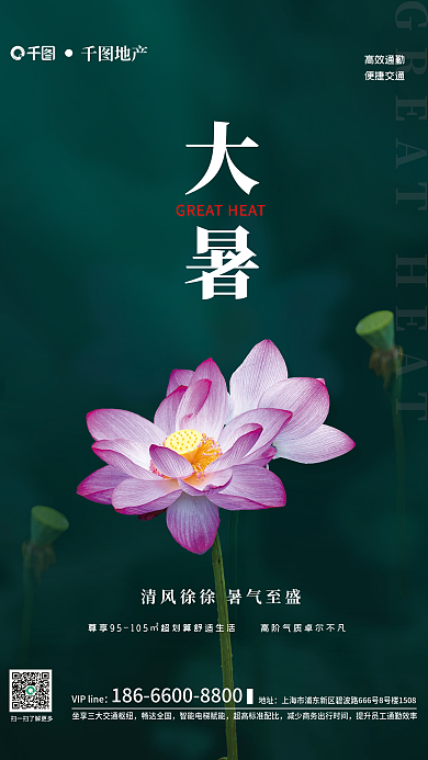 大暑节气荷花摄影图地产行业深色背景海报