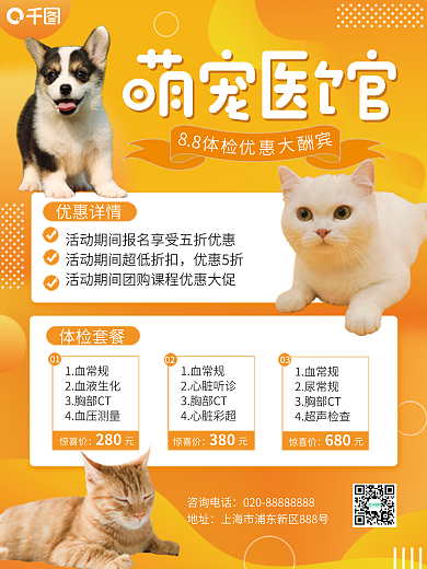 宠物体检优惠详情优惠5折海报