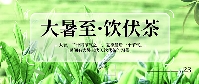 简约创意大暑至饮伏茶二十四节气公众号封面