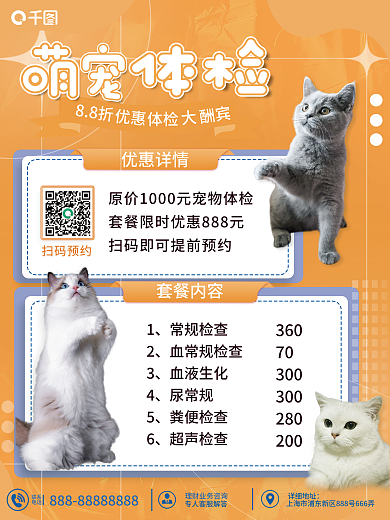 宠物体检常规检查血常规检查优惠海报