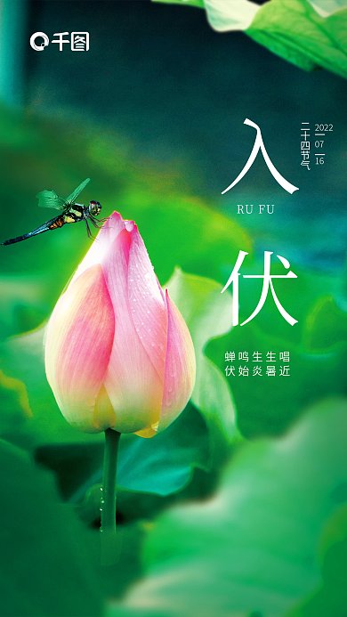 简约小清新RUFU蝉鸣生生唱三伏天节气海报