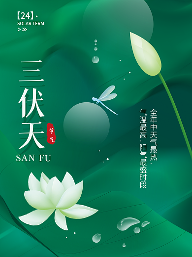 三伏天夏天节气简约海报