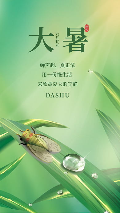 简约大暑DASHU蝉声起节气海报