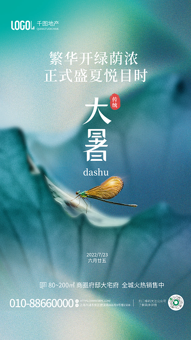 简约荷叶传统dashu节气海报