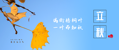 立秋公众号满街梧桐叶一叶而知秋海报图