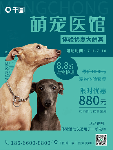 黑黄宠物护理萌宠医馆宠物医馆商业海报