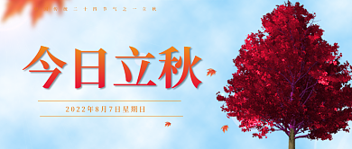 蓝天红叶今日立秋公众号