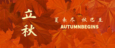 立秋公众号封面秋天广告图枫叶红色手机图