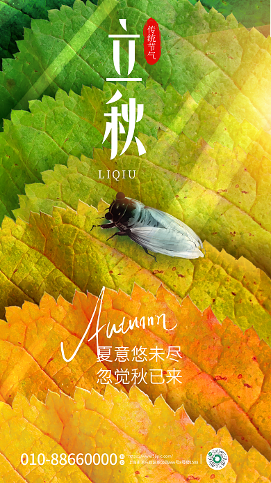 简约风传统节气夏意悠未尽二十四节气立秋节气海报