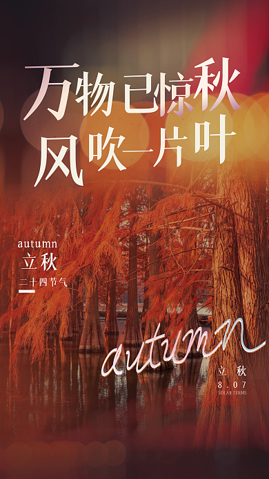 立秋简约创意唯美色调摄影图海报