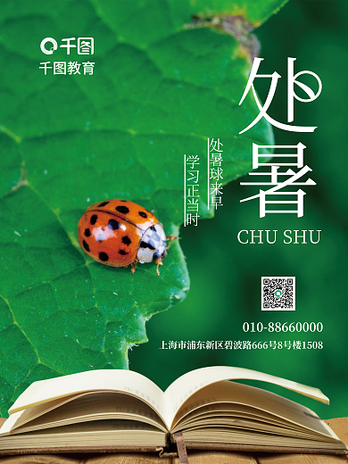 简约清新教育处暑球来早海报