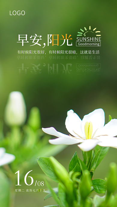 八月你好早安阳光LOGO绿色手机海报