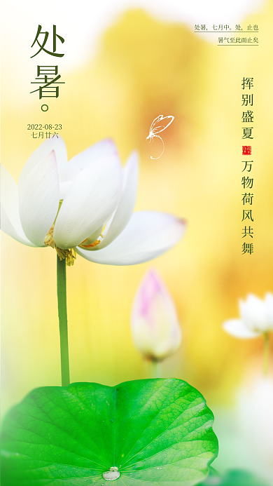 处暑夏秋交替荷花荷叶秋天夏日盛夏荷风池塘