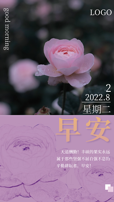 今天又是早安GOOD的一天早安