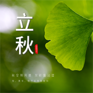 绿色清新揪也传统节气公众号次图