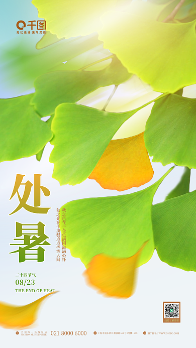 简约处暑落叶初秋银杏叶摄影图节气节日海报